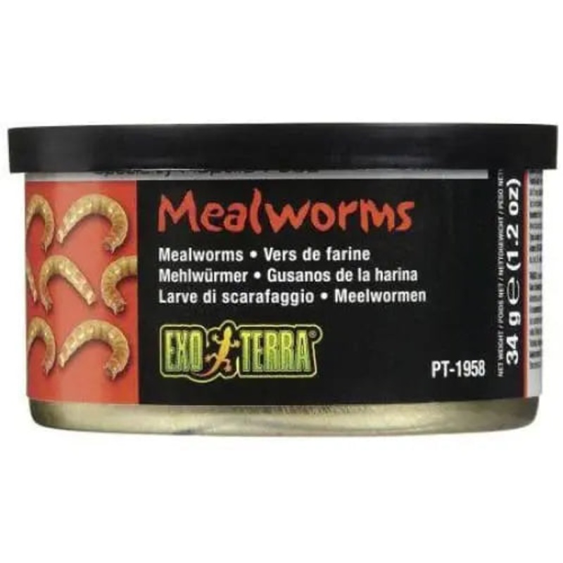 Exo Terra Canned Mealworms Specialty Reptile Food
