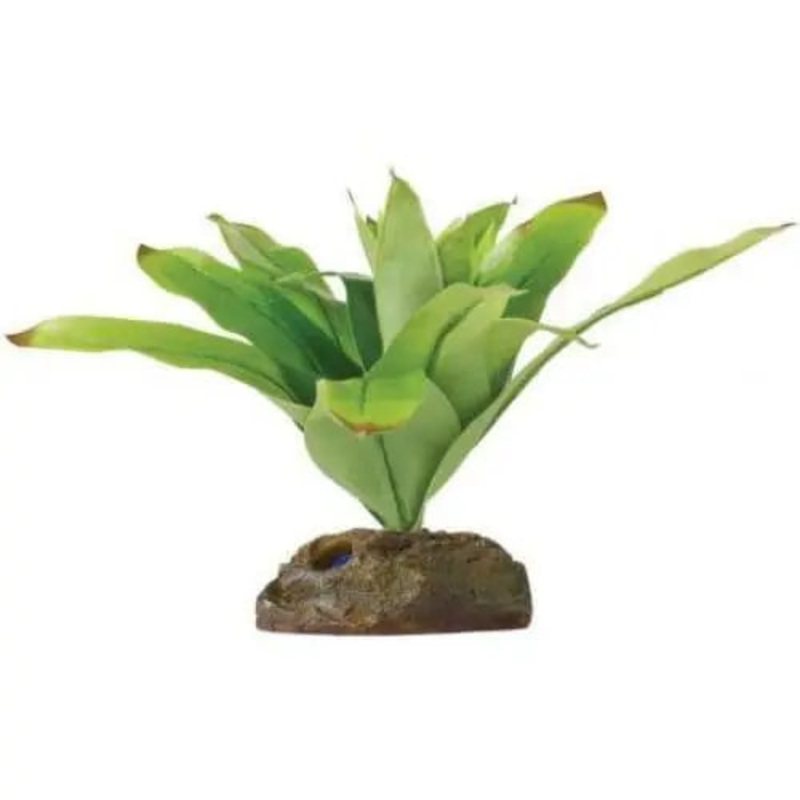 Exo Terra Dart Frog Bromelia Smart Terrarium Plant