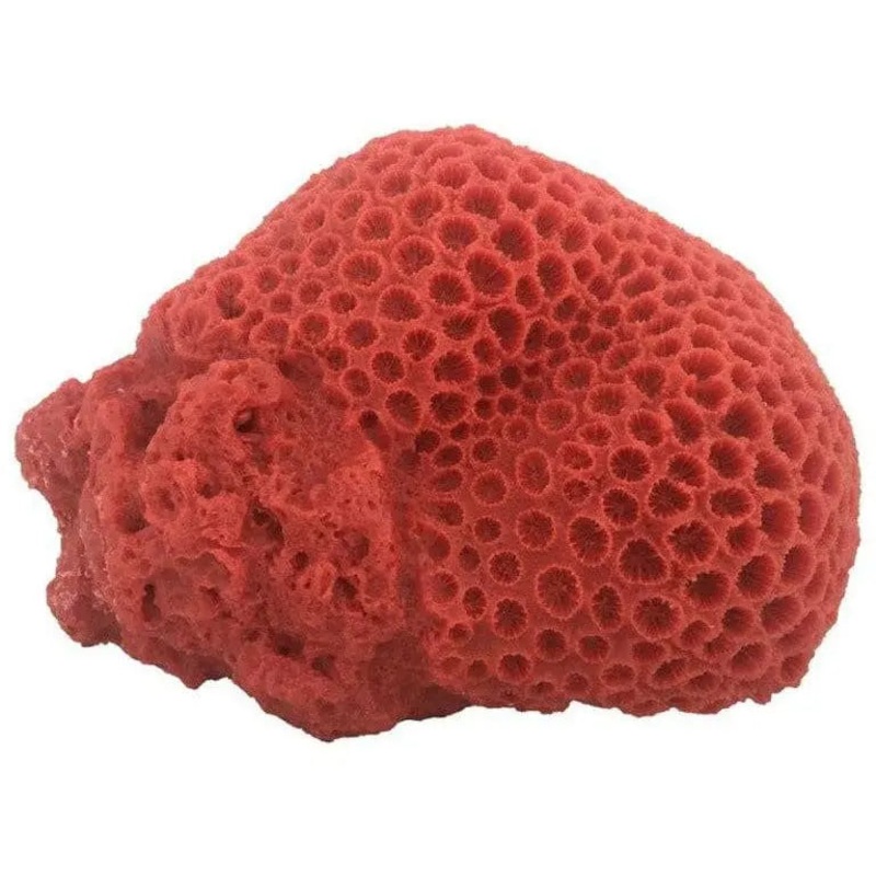 Weco Products South Pacific Coral Brain Ornament