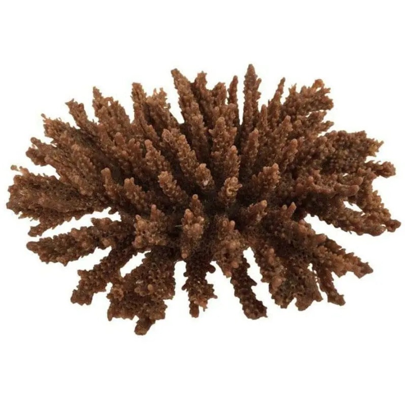 Weco Products South Pacific Coral Tabletop Ornament