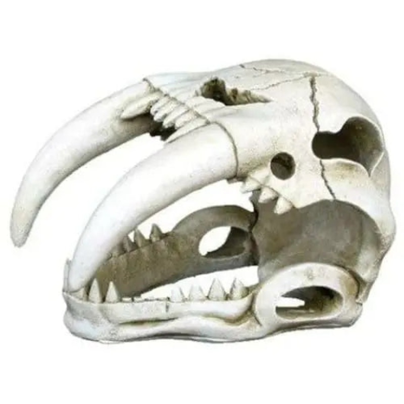 Weco Products Wecorama Catacombs Sabertooth Skull Aquarium Ornament White