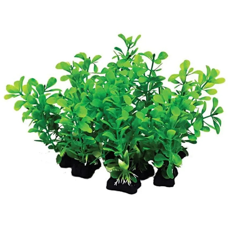 Aquatop Aquarium Plants Mix Assorted 12 pk