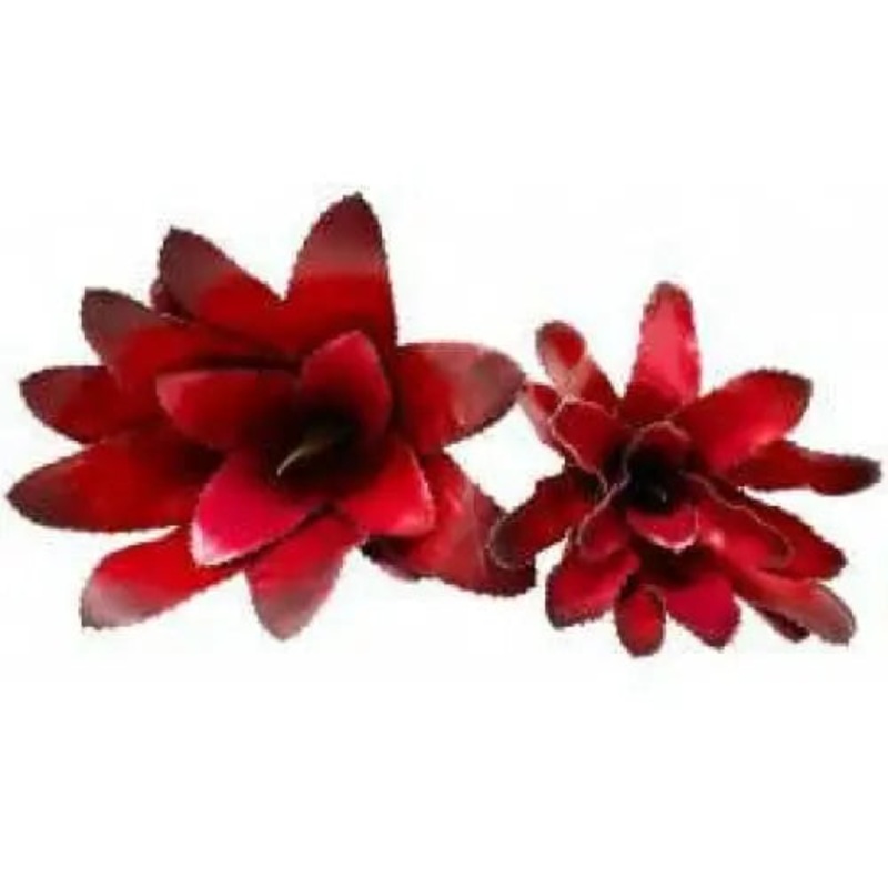 bromeliads Plants Enclosure Decor Tank Decoration Habitat Aquarium Accessories