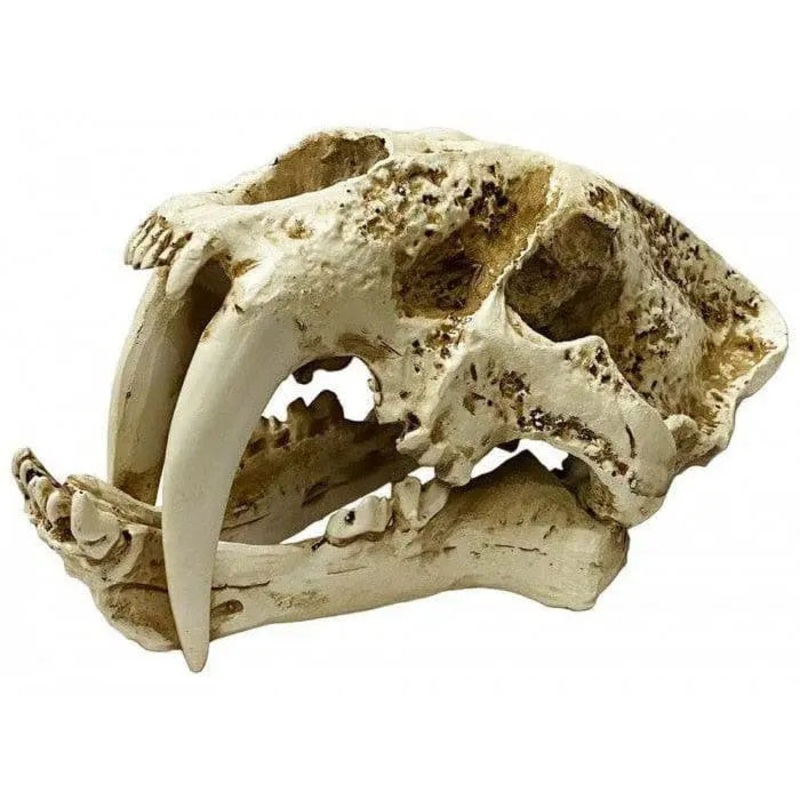 Naturalistic Skulls saber-tooth Reptile Hideout Terrarium Decor