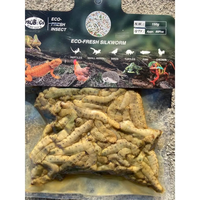 Silkworm Larvae Bulk Bag (150 gram) (80 piece average)