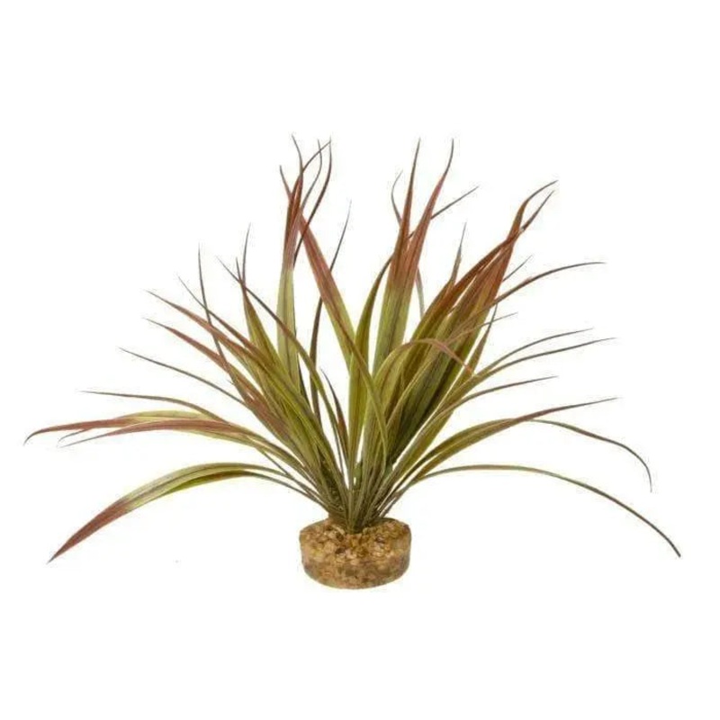 Blue Ribbon Gravel Base Plant – Amazonia Plant Plum