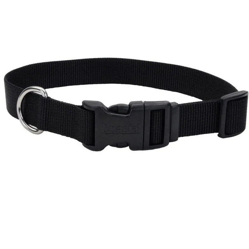 Coastal Adjustable Nylon Dog Collar with Plastic Buckle