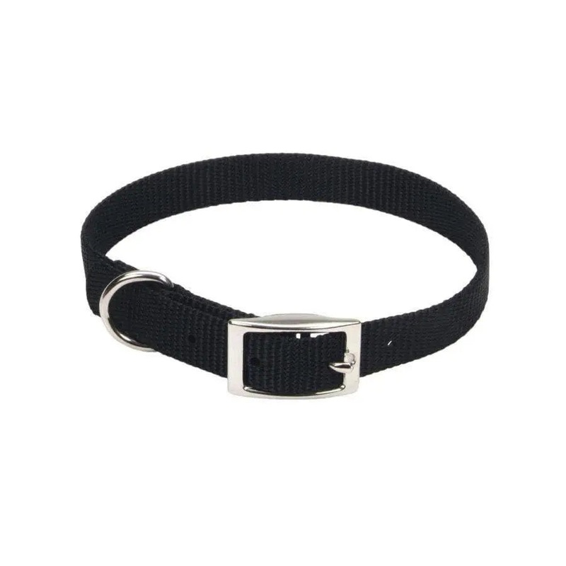 Coastal Single-Ply Nylon Dog Collar