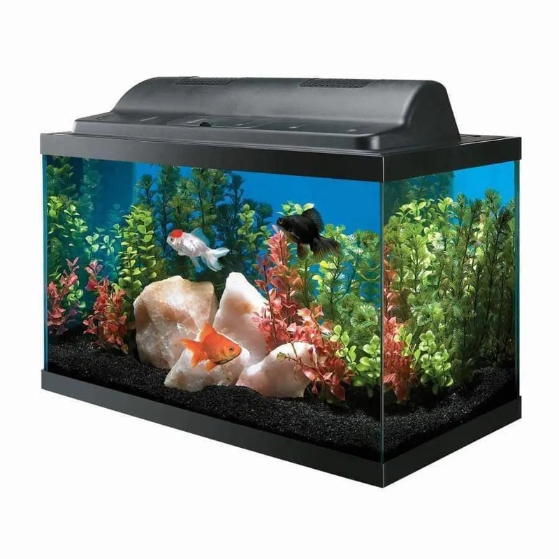 Aqueon Incandescent Aquarium Kit 1ea/10