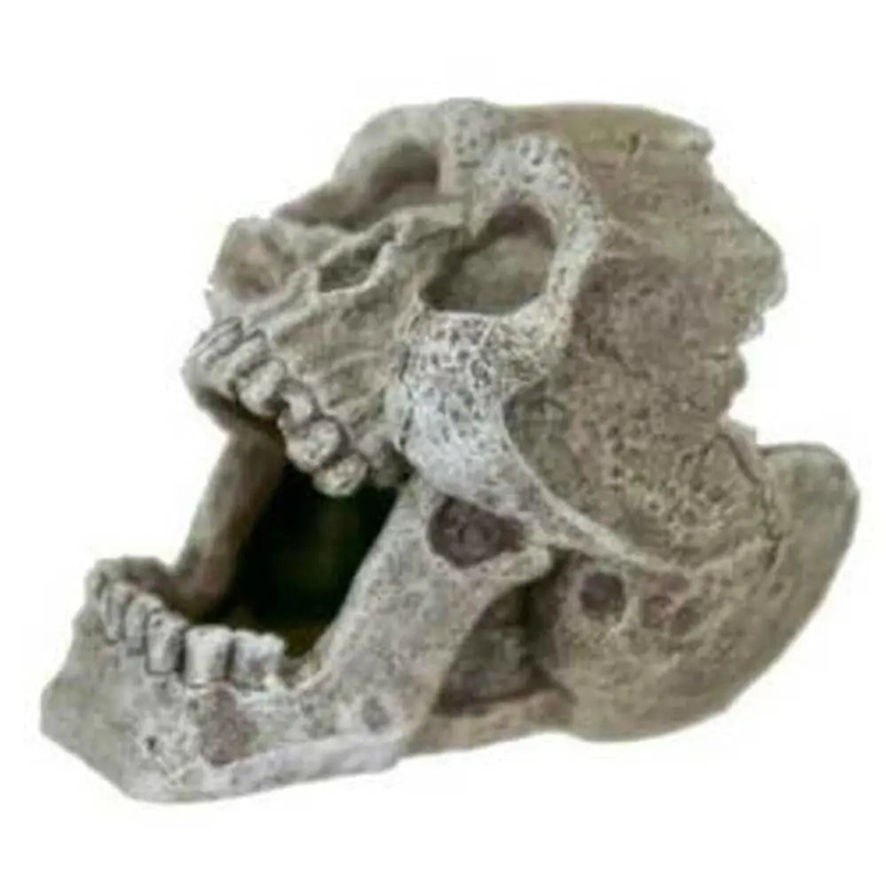 Blue Ribbon Exotic Environments Cracked Human Skull Mini