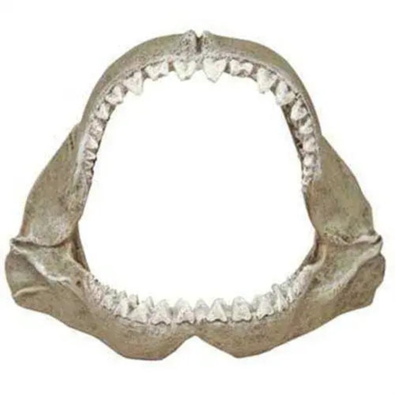Blue Ribbon Exotic Environments Great White Shark Jaws Ornament