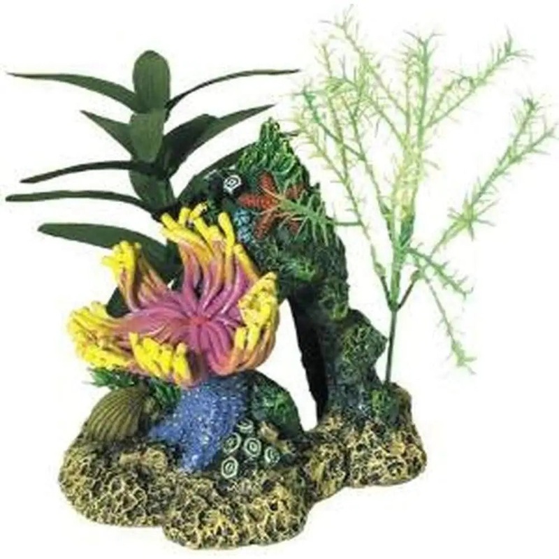 Blue Ribbon Exotic Environments Indonesian Anemone Cave With Plants