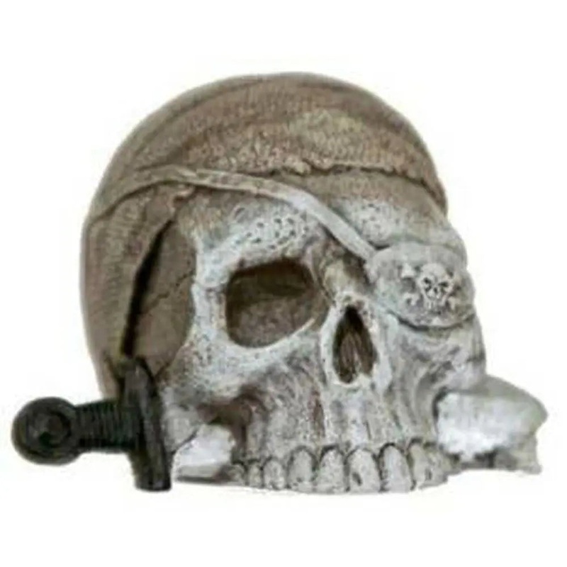 Blue Ribbon Exotic Environments Sunken Pirate Skull Mini