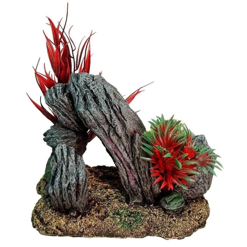 Blue Ribbon Rock Swim-Through With Plants