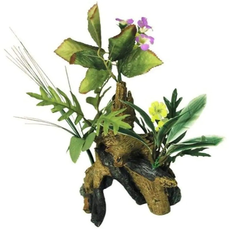 Exotic Environments Chestnut With Plants