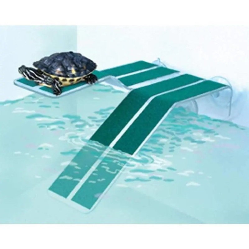 Kordon Turtle Ramp Green, Clear Medium