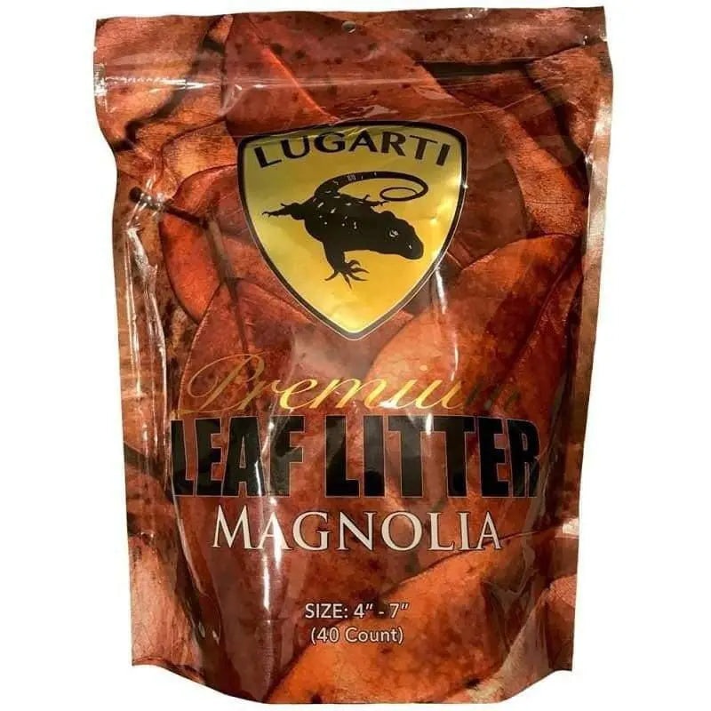 Premium Leaf litter Magnolia 30 Count