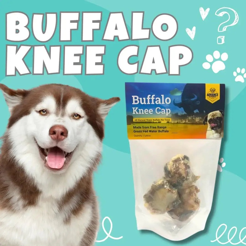 All Natural Water Buffalo Kneecap Chew for Dogs 3 Pack