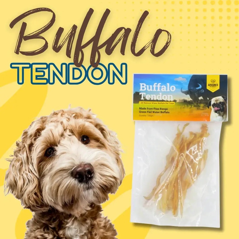 All Natural Water Buffalo Tendon Chew for Dogs