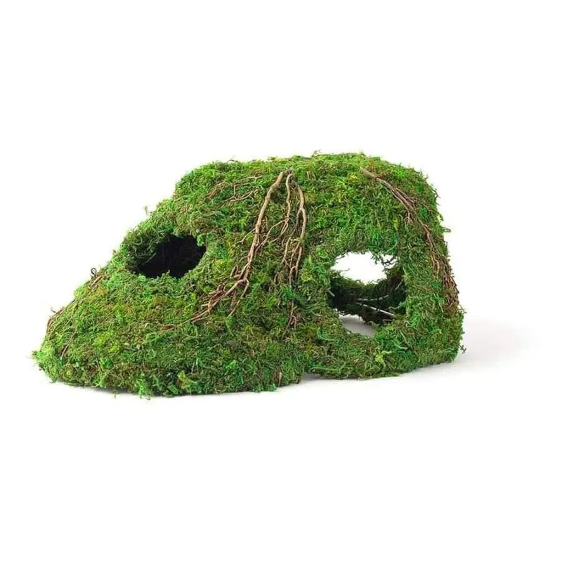 Galapagos Sapa Corner Hide Terrarium Hideaway Corner Hide Fresh Green 1ea/10 in