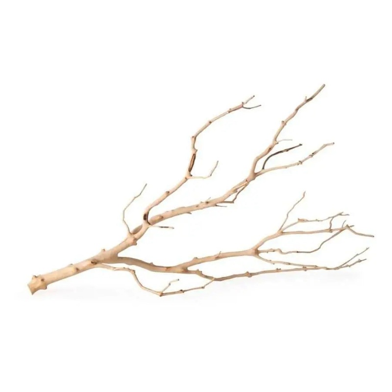 Galapagos Staghorn Wood Manzanita Branch Brown