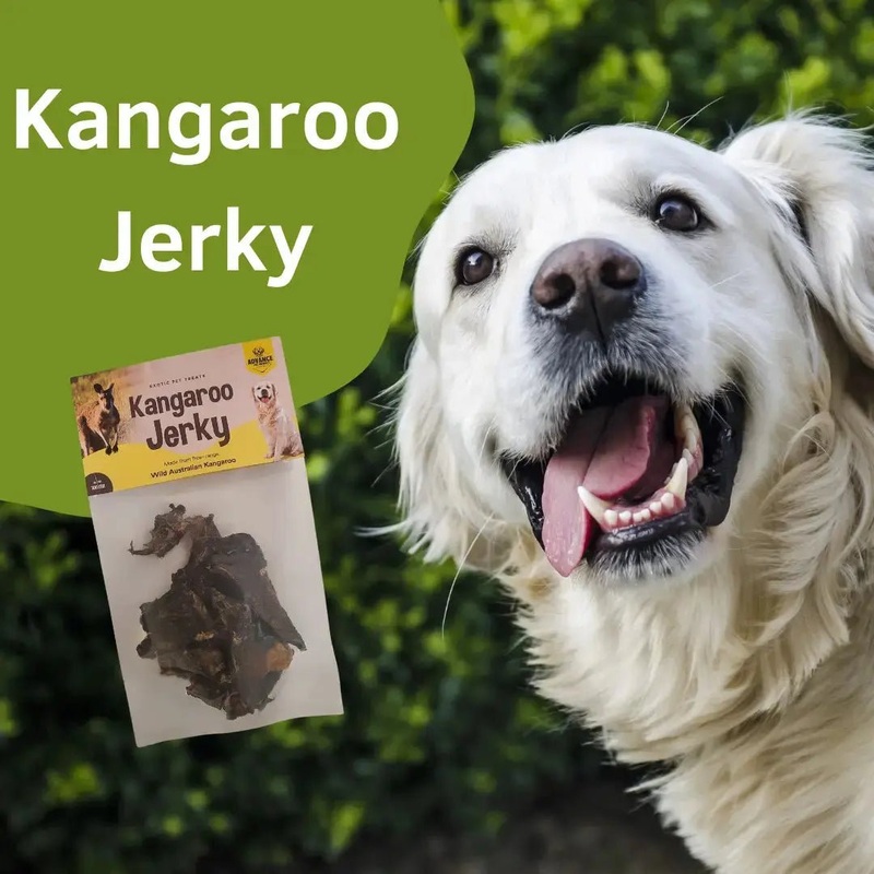 Low-Fat Kangaroo Jerky for Dogs with Food Sensitivities