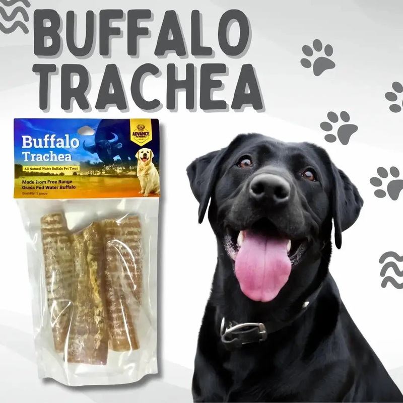 Natural Buffalo Trachea Chews for Healthy Dog Teeth