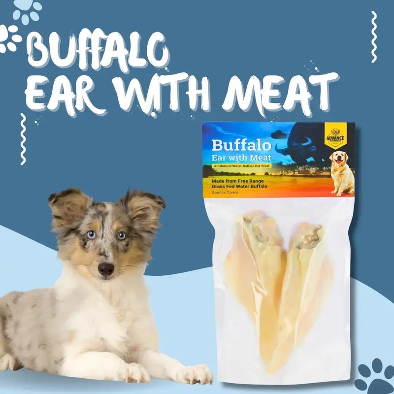 Natural Water Buffalo Ear Treat for Dogs – Chew and Oral Health Benefits