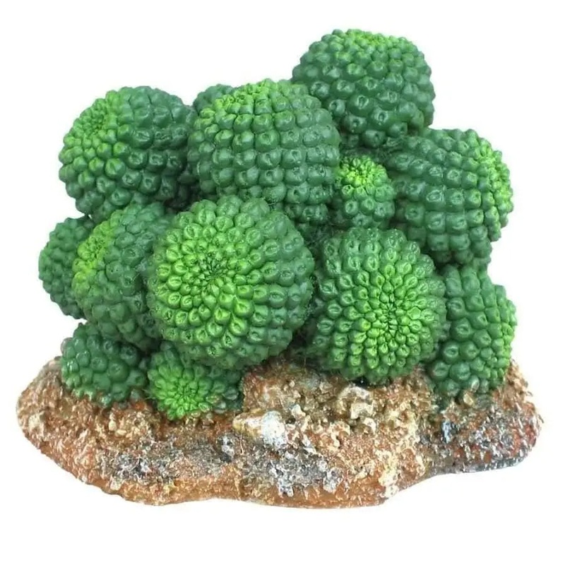 Wecorama Badlands Sonoran Cactus Terrarium Ornament Sonoran Cactus Brown, Green 1ea/2.92 in