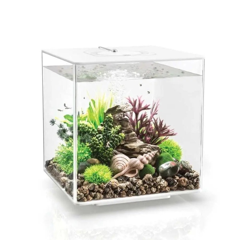 biOrb CUBE 30 Aquarium with MCR Light 8 gallon
