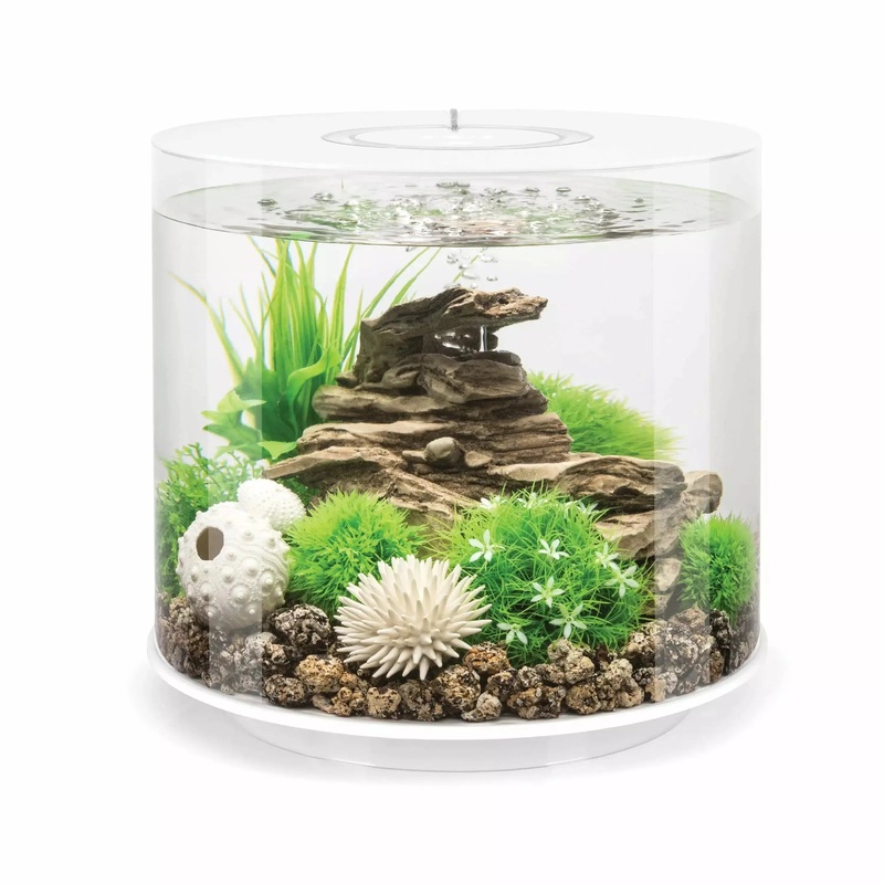 biOrb TUBE 15 Aquarium with Standard Light  4 gallon