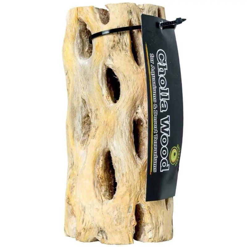 Galapagos Cholla Cactus Skeleton Wood Brown