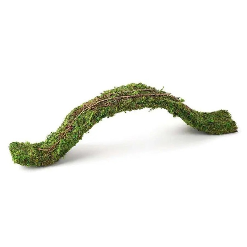 Galapagos Flexible Bridge Terrarium Ornament Flexible Bridge Fresh Green
