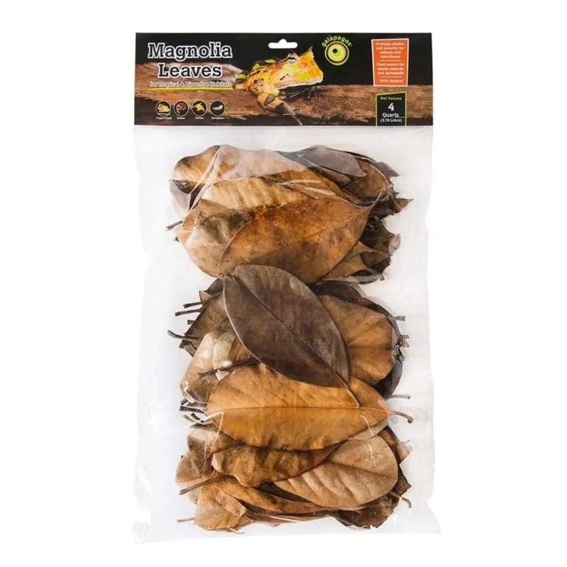 Galapagos Magnolia Leaves for Tropical & Bioactive Habitats Leaves Brown 4 qt