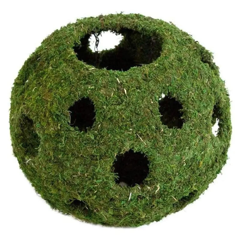 Galapagos Mossy Cave Terrarium Hideaway Cave Fresh Green