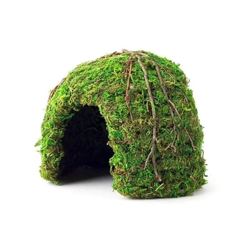 Galapagos Mossy Dome Terrarium Hideaway Dome Fresh Green