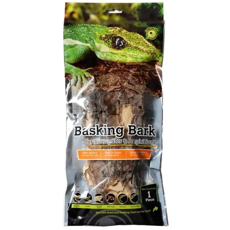Galapagos Natural Basking Bark Green, Brown 12 In – 15 in