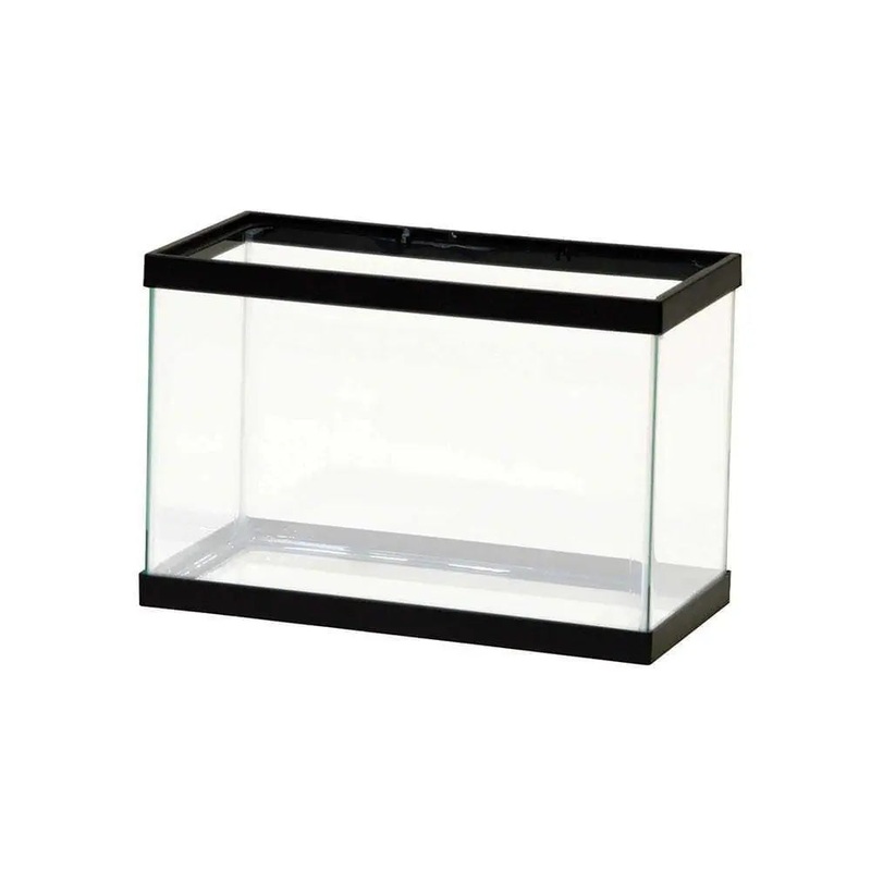 Aqueon Standard Glass Rectangle Aquarium Black Frame/Clear Silicone Color