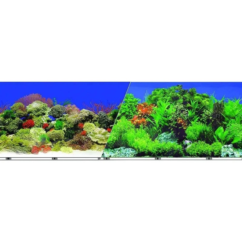 Double-sided Garden-carribbean Coral Background