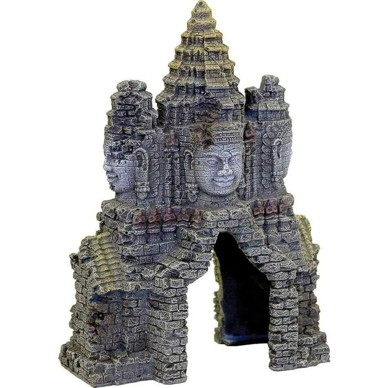 Exotic Environments Angkor Wat Temple Gate