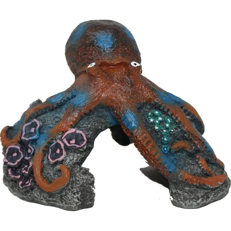 Exotic Environments Blue Ring Octopus
