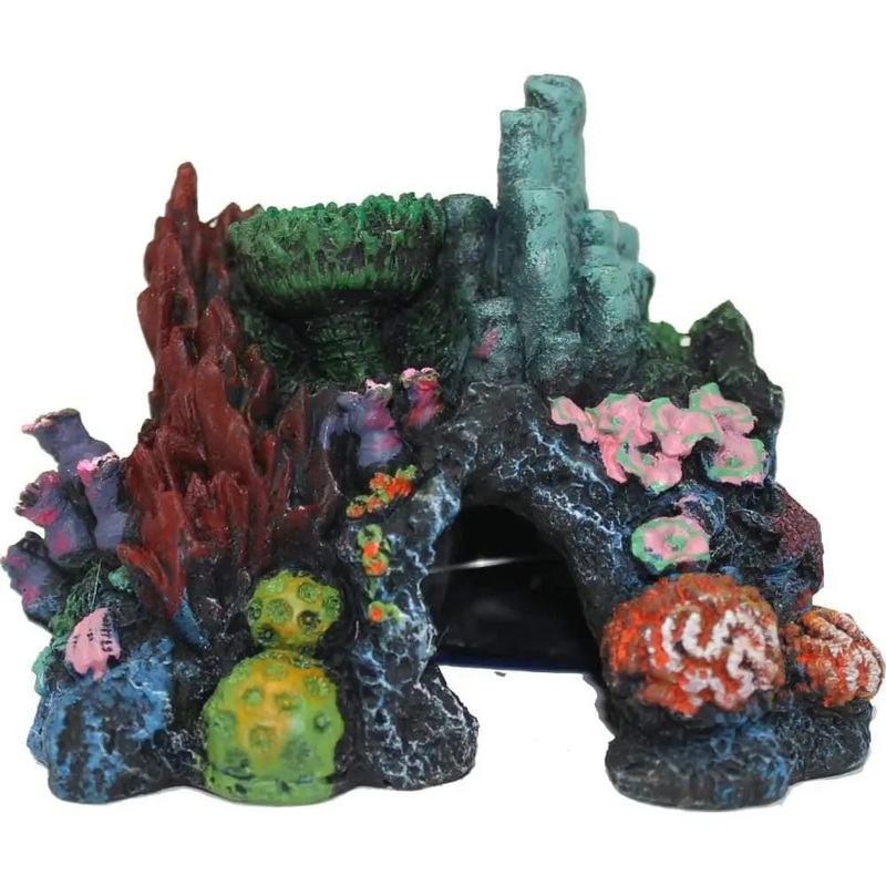 Exotic Environments Caribbean Living Reef