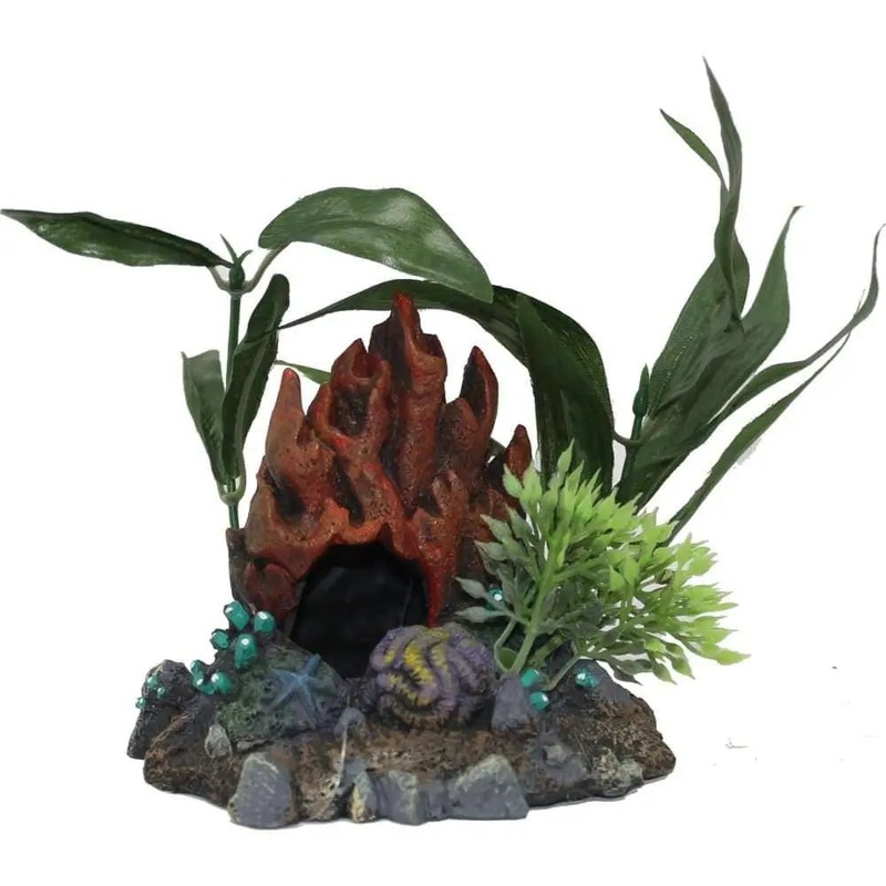 Exotic Environments Fire Coral Cave W-plants