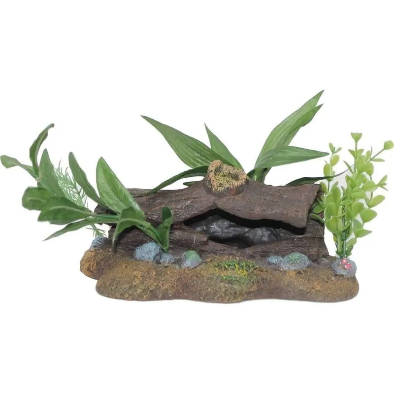 Exotic Environments Log Cavern W-plants
