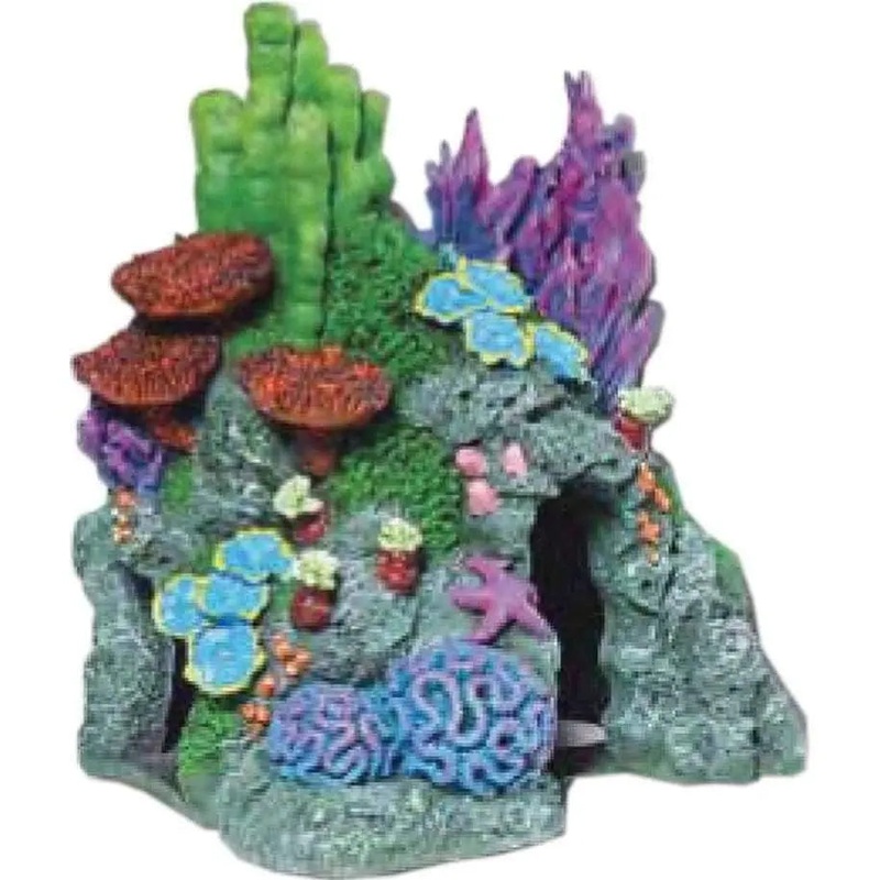 Exotic Environments Red Sea Hide-away