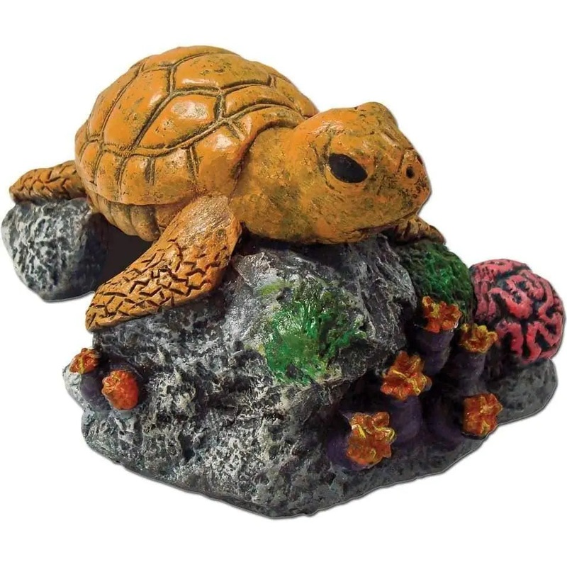 Exotic Environments Sea Turtle