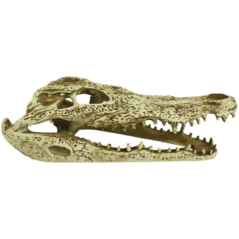 Komodo Alligator Skull Hideout 9 in