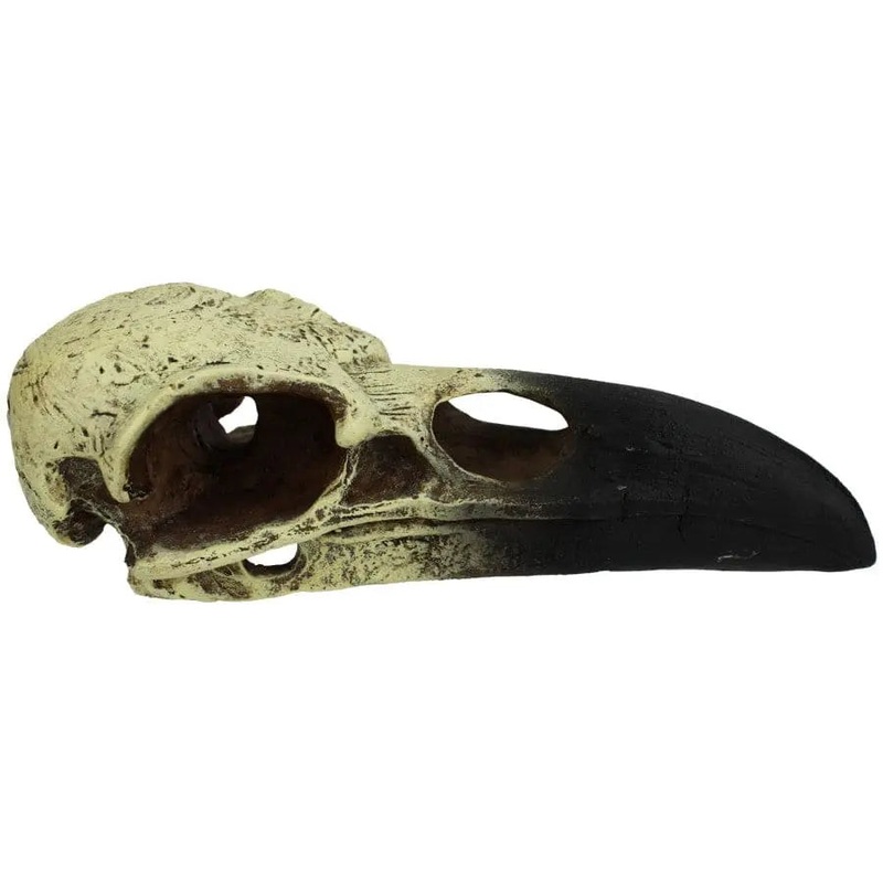Komodo Raven Skull Hideout|6in|8in