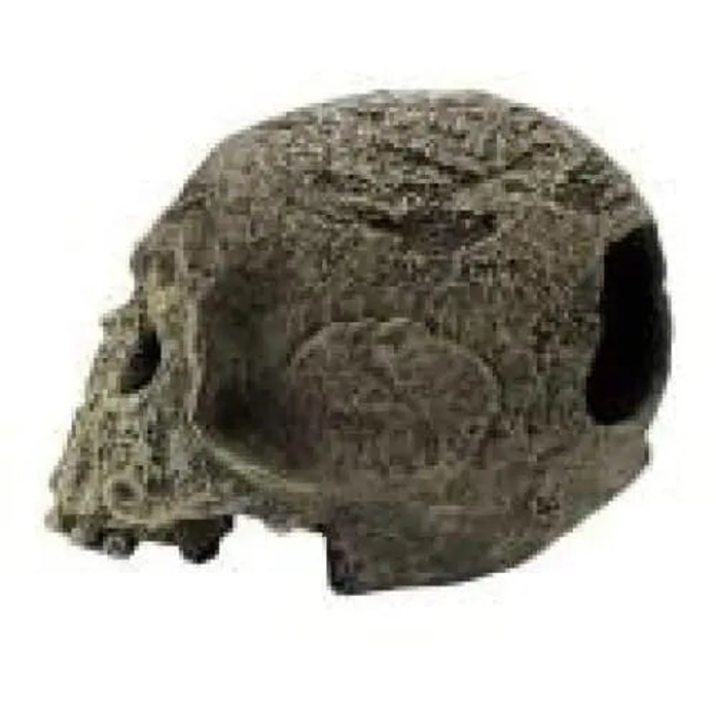 Komodo Textured Human Skull Reptile Hideout Textured Human Skull Gray 1ea/One Size