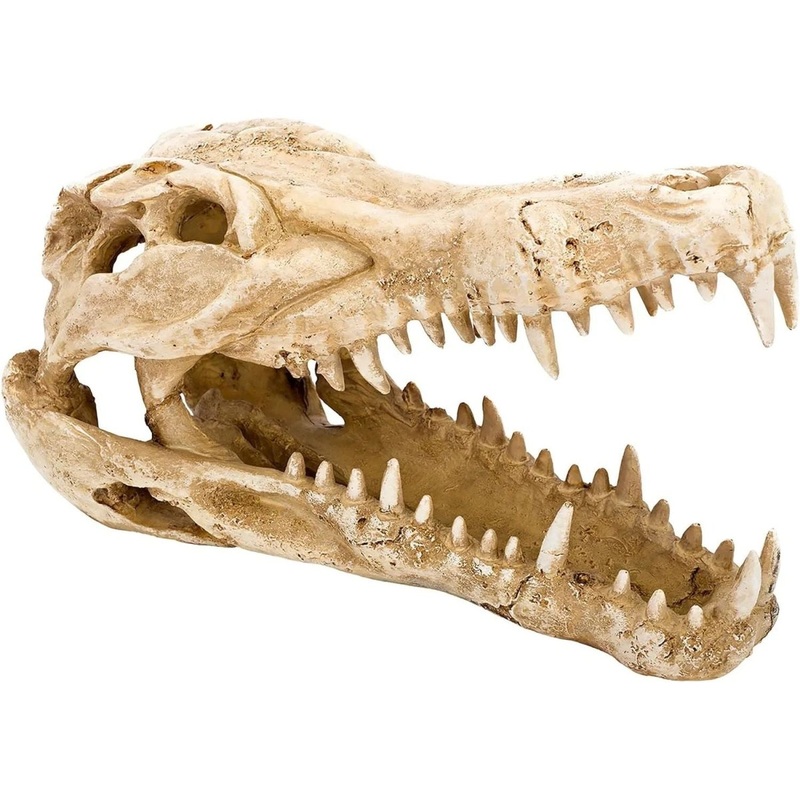 Penn-Plax Crocodile Skull Reptile Enclosure Decor